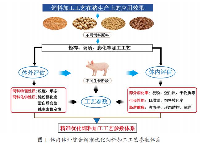 肥猪补硒用什么好（硒在养猪中的作用）-硒宝网