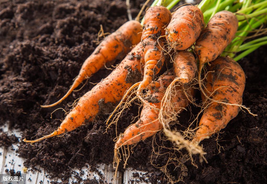 钾低需要补硒多久(钾低一定要补吗)-硒宝网