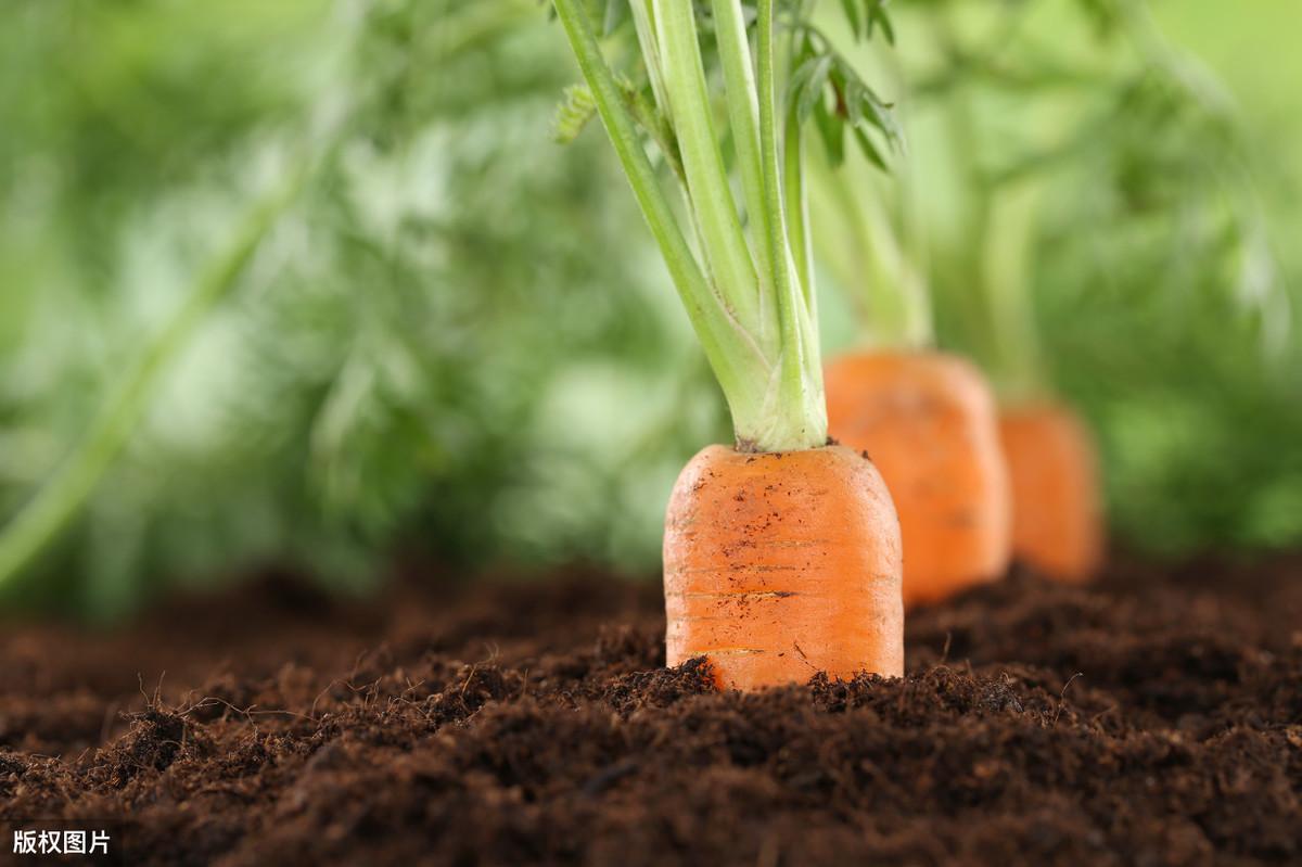 钾低需要补硒多久(钾低一定要补吗)-硒宝网