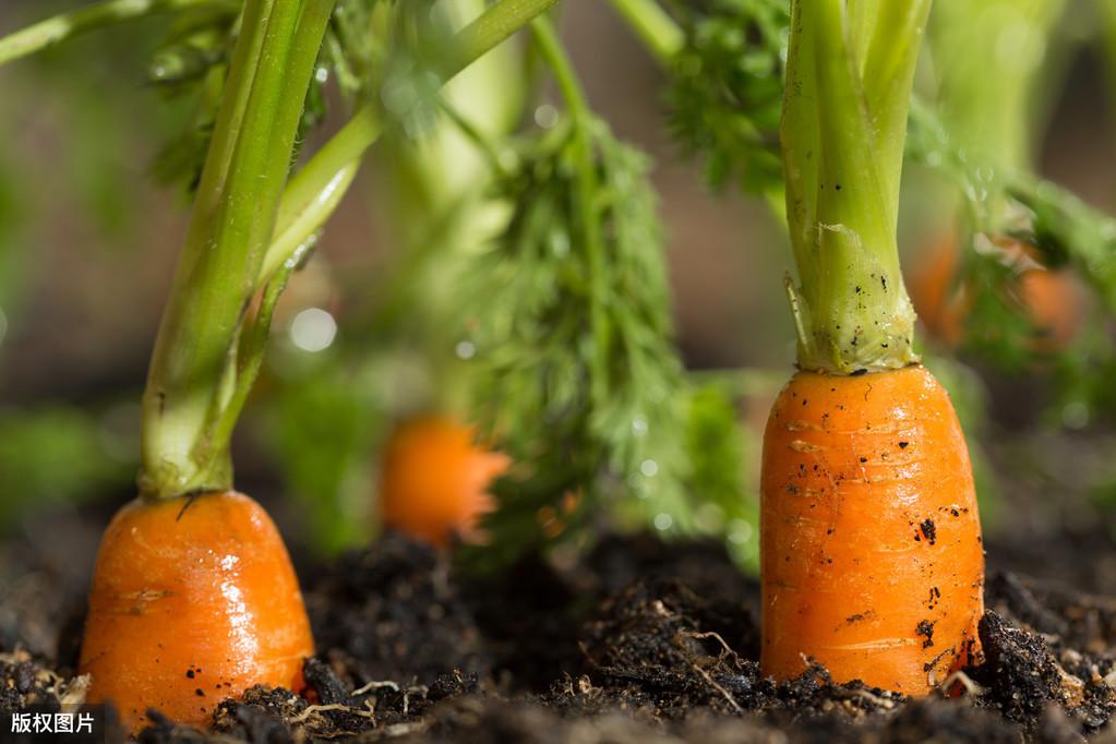 钾低需要补硒多久(钾低一定要补吗)-硒宝网