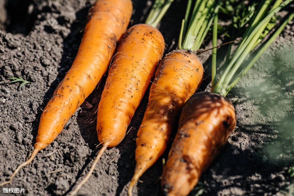 钾低需要补硒多久(钾低一定要补吗)-硒宝网