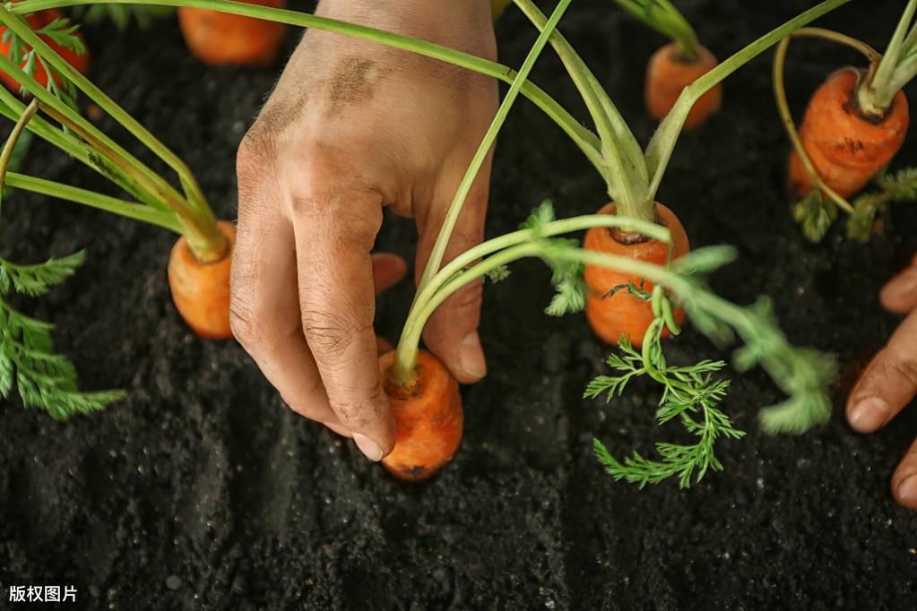 钾低需要补硒多久(钾低一定要补吗)-硒宝网