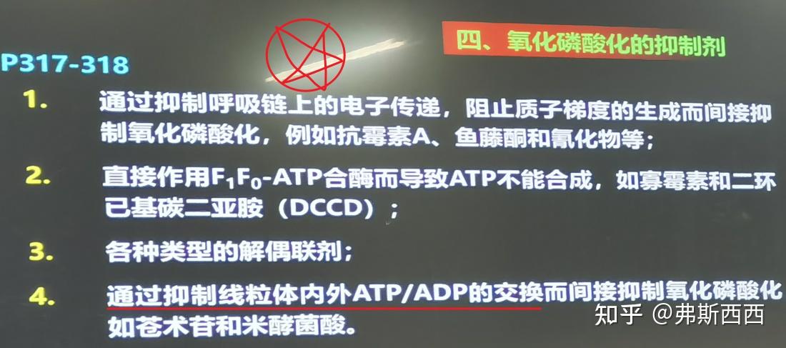 补硒对心脏病好吗（心脏病可以补硒吗）-硒宝网