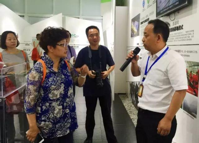 小鸡多大可以补硒（雏鸡缺硒）-硒宝网