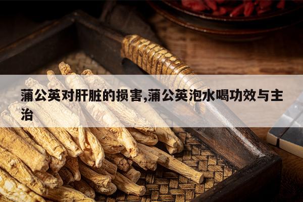 牛蒡根泡水补硒吗(牛蒡根养生茶)-硒宝网