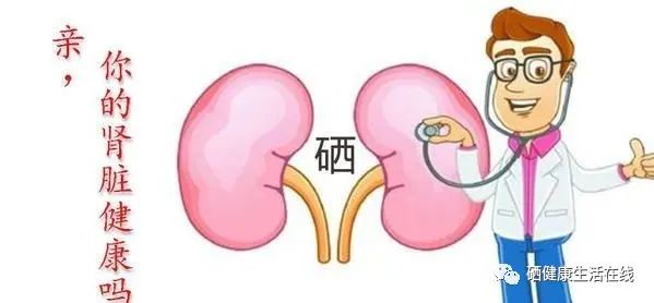 吃动物肾脏能补硒(能补动物吃肾脏硒的药吗)-硒宝网