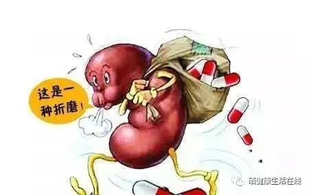 吃动物肾脏能补硒(能补动物吃肾脏硒的药吗)-硒宝网