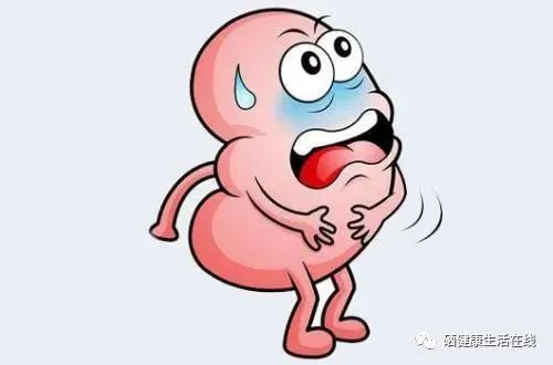 吃动物肾脏能补硒(能补动物吃肾脏硒的药吗)-硒宝网