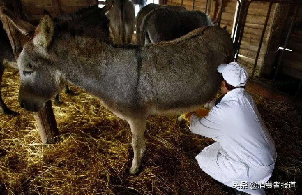 吃什么补硒和钾高（含钾含硒的食物）-硒宝网