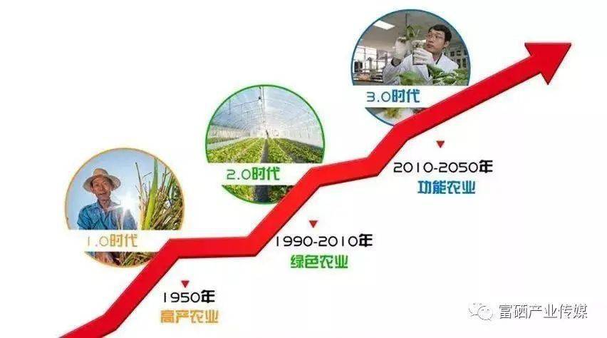 补硒有那三种途径(补硒的东西)-硒宝网