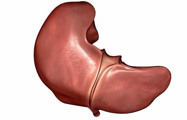 硒麦芽补硒解毒素(硒麦芽的副作用)-硒宝网