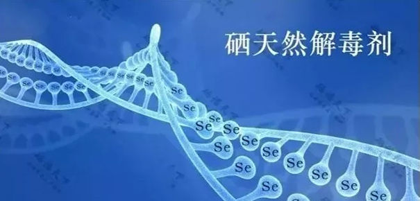 身体有硒可以补硒(硒能补钙吗)-硒宝网