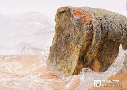 硒麦芽补硒解毒素（硒麦芽有毒吗）-硒宝网