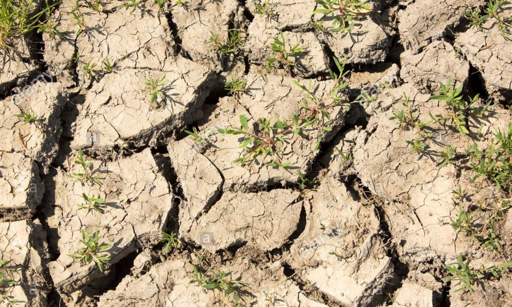 高硒地区贵州补硒(贵州哪个地区含硒量最高)-硒宝网