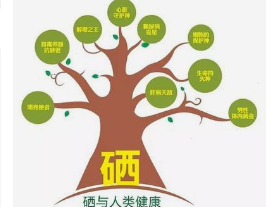 亚硒酸钠补硒最好（亚硒酸钠补硒最好）-硒宝网