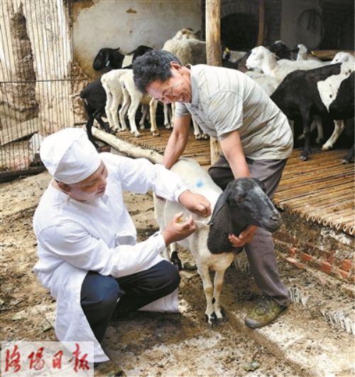 母猪补硒补几毫升(补毫升母猪硒的作用)-硒宝网