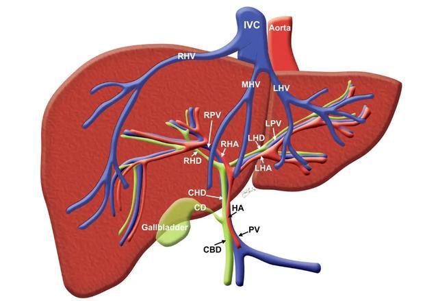 补硒和补叶酸区别（硒片和叶酸片能在一起吃吗）-硒宝网