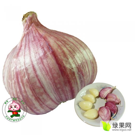 如何去富硒地补硒（富硒吃什么）-硒宝网