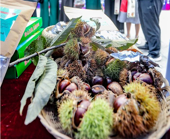 补硒吃硒优素好吗(补充硒元素有副作用吗)-硒宝网