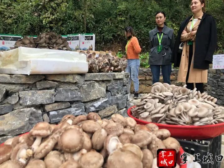 补硒吃硒优素好吗(补充硒元素有副作用吗)-硒宝网