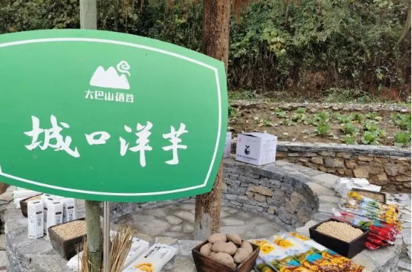 补硒吃硒优素好吗(补充硒元素有副作用吗)-硒宝网