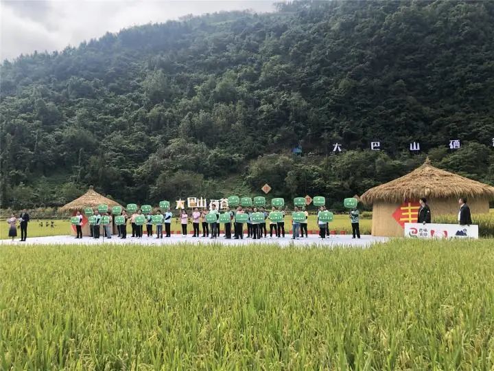 补硒吃硒优素好吗(补充硒元素有副作用吗)-硒宝网