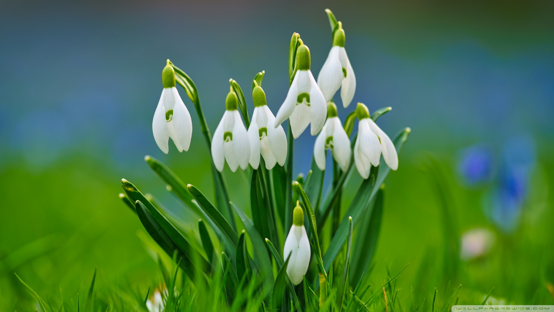 鸡蛋 补硒 美容(吃鸡蛋补硒)-硒宝网