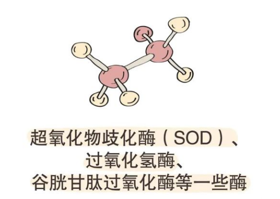 男人 补硒 剂量(男人补硒能提高性功能吗)-硒宝网