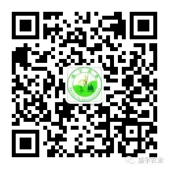 叶面肥补硒无机硒(硒无机补叶面肥怎么用)-硒宝网