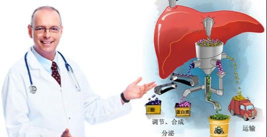 服药期间可以补硒（补硒期间可以喝酒吗）-硒宝网