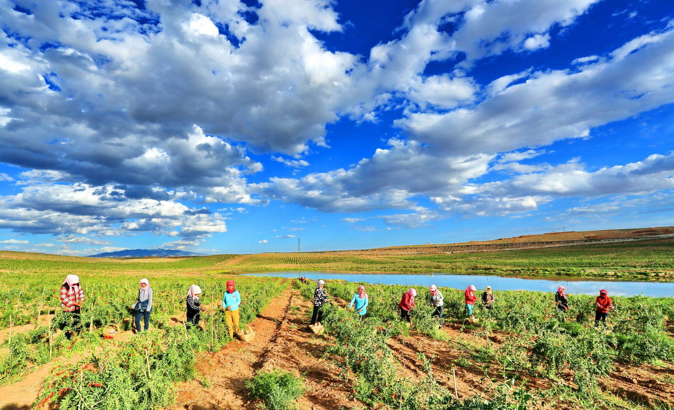健康之路话说补硒（讲硒养生健康视频大全）-硒宝网