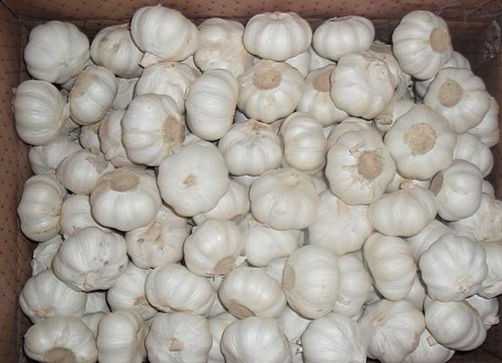 肝炎患者适当补硒(适当补肝炎患者硒的好处)-硒宝网