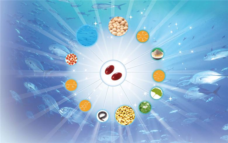 母牛补硒元素多少（母牛缺硒）-硒宝网