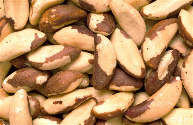 哪种巴西坚果补硒(巴西坚果的营养)-硒宝网