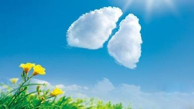 肺癌患者补硒剂量(肺癌补硒)-硒宝网