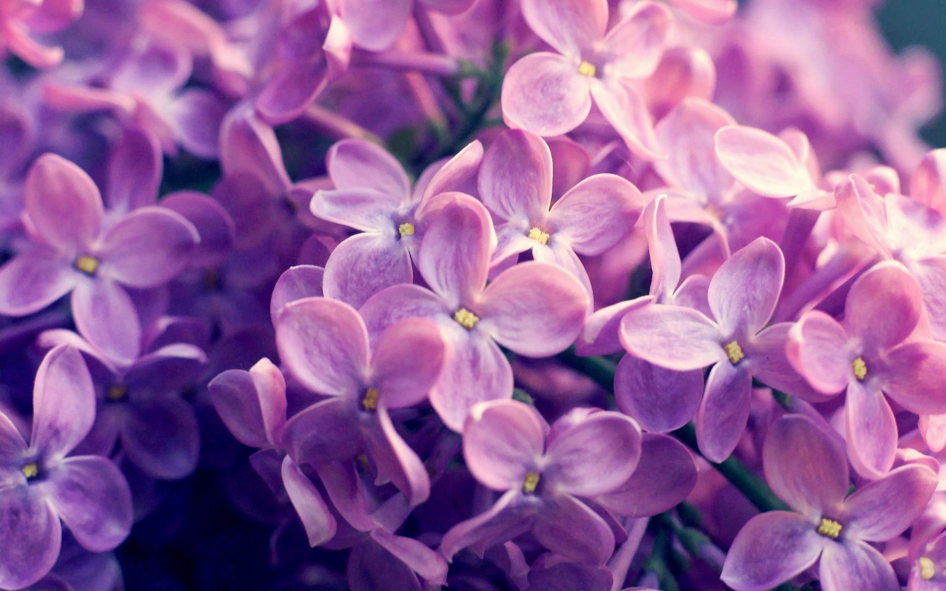 最全补硒食物排行（补硒食物排行榜）-硒宝网
