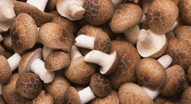 怎样健康补硒减肥(补硒减肥吗)-硒宝网