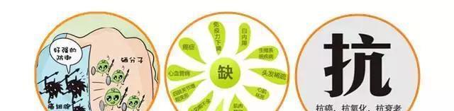 科学补硒健康人生（科学补健康人生硒含量高吗）-硒宝网