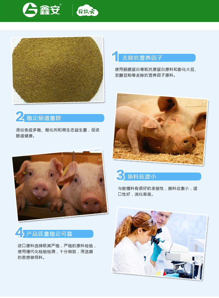 猪仔出生几天补硒（仔猪补硒八天可以吗）-硒宝网