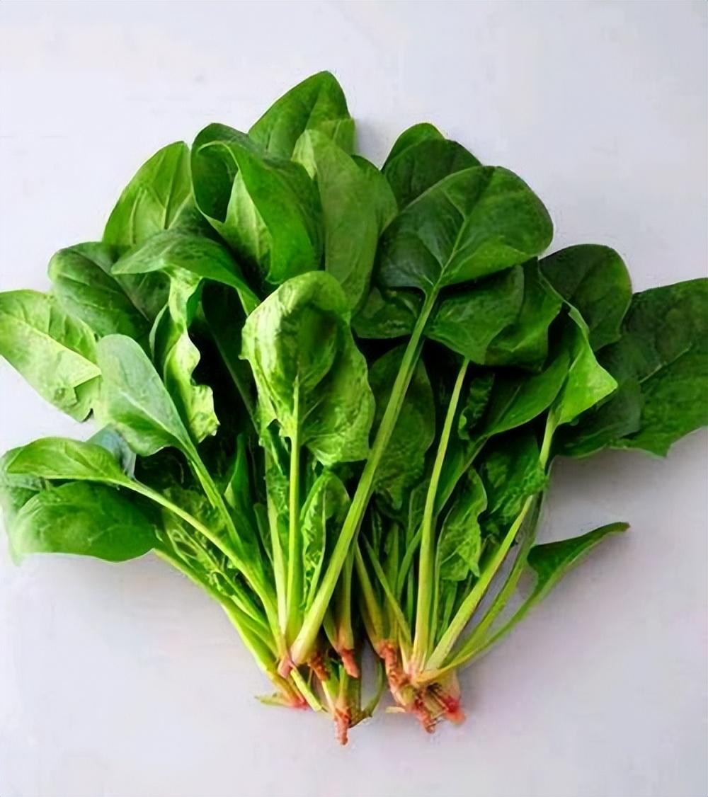 狗狗每天补多少硒(狗狗每天补硒多少)-硒宝网