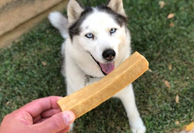 狗狗每天补多少硒(狗狗每天补硒多少毫克)-硒宝网