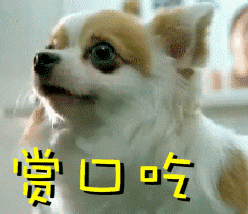 狗狗每天补多少硒(狗狗每天补硒多少毫克)-硒宝网