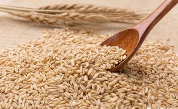 补硒降低转氨酶吗(补降低转氨酶硒的药物)-硒宝网