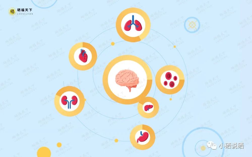 什么补硒药品最好（补硒的药物发胖吗）-硒宝网