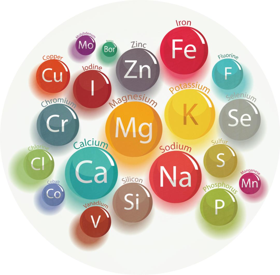 铁锌硒补什么好处(补铁锌硒的作用)-硒宝网