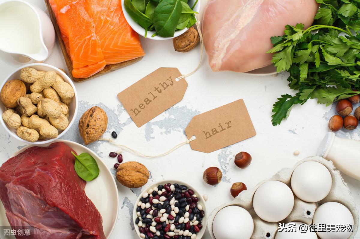 狗狗每天补多少硒（狗狗可以补硒吗）-硒宝网