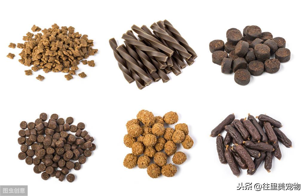 狗狗每天补多少硒（狗狗可以补硒吗）-硒宝网