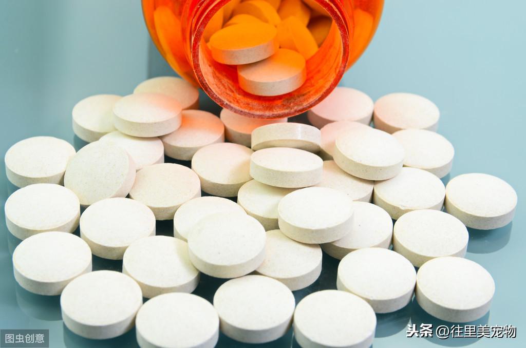 狗狗每天补多少硒（狗狗可以补硒吗）-硒宝网