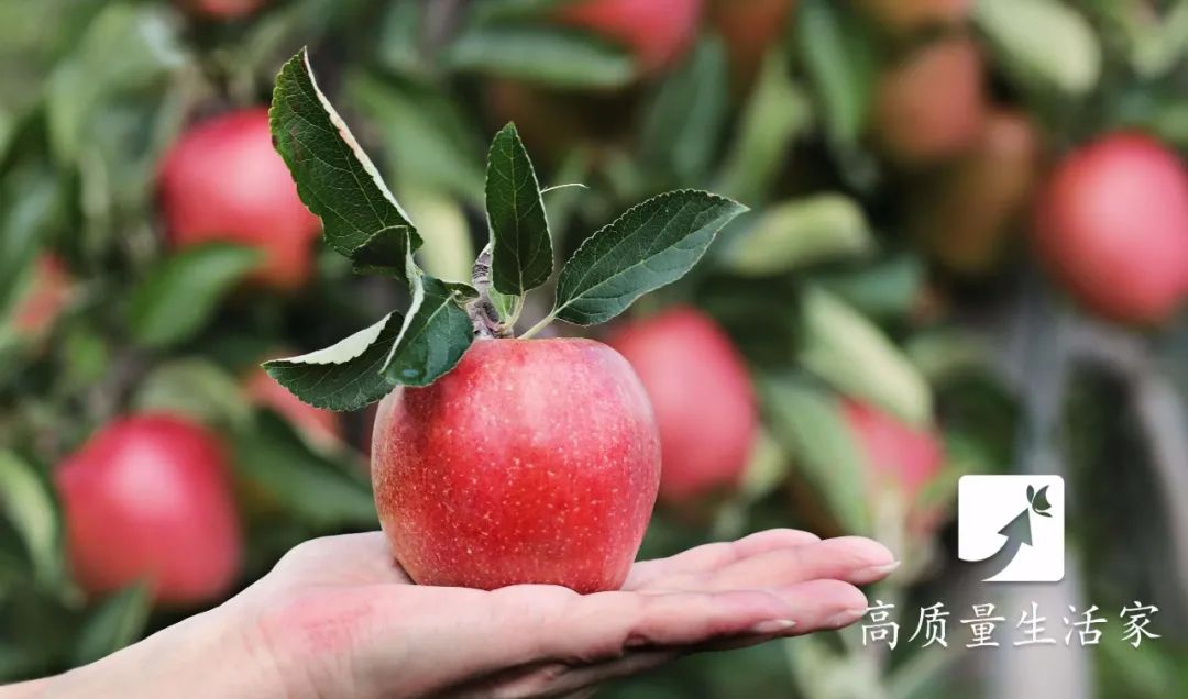 补硒真的可以抗癌(抗癌补硒可以长期吃吗)-硒宝网