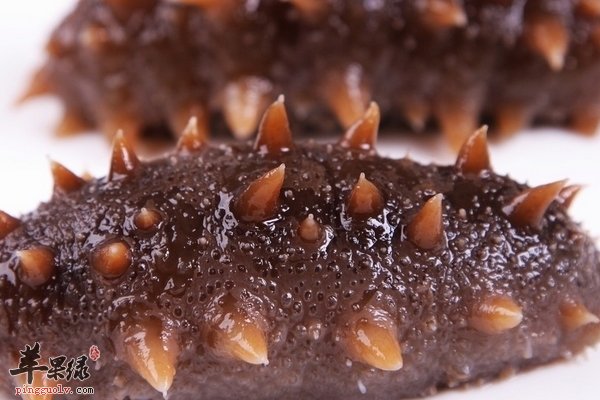 孕妇补硒品牌推荐(孕妇补硒)-硒宝网